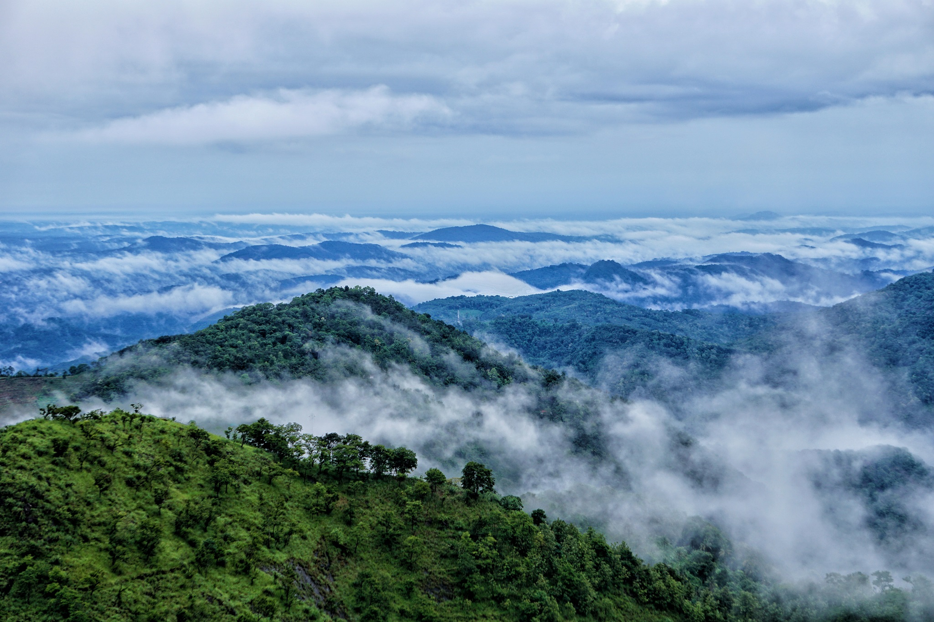 WAYANAD: Why it should be on your bucket list?