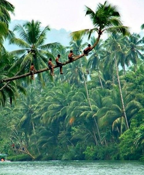 Kerala – The coastal adornment of India