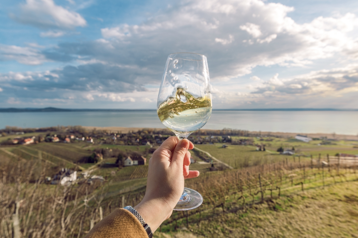 5 vineyards in India, one must visit.