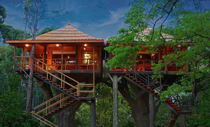 Best tree house stays in India.
