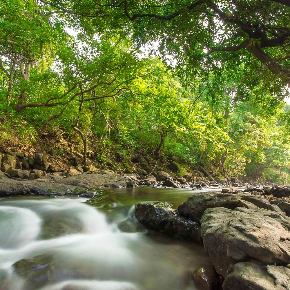 10 Unexplored National Parks of Maharashtra.