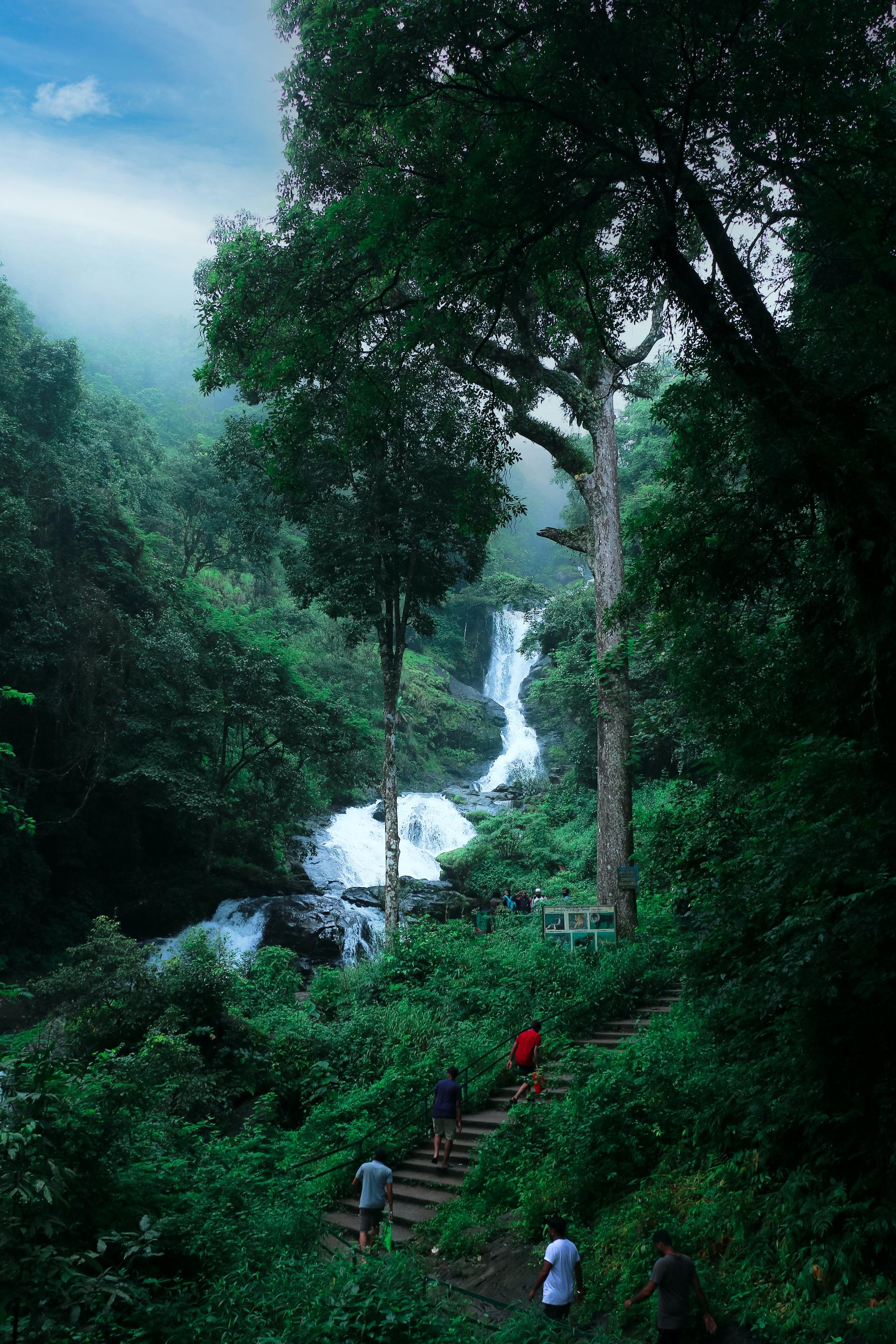 Chasing Waterfalls In Karnataka