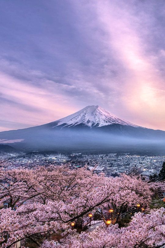 5 Flapper things to do in Japan