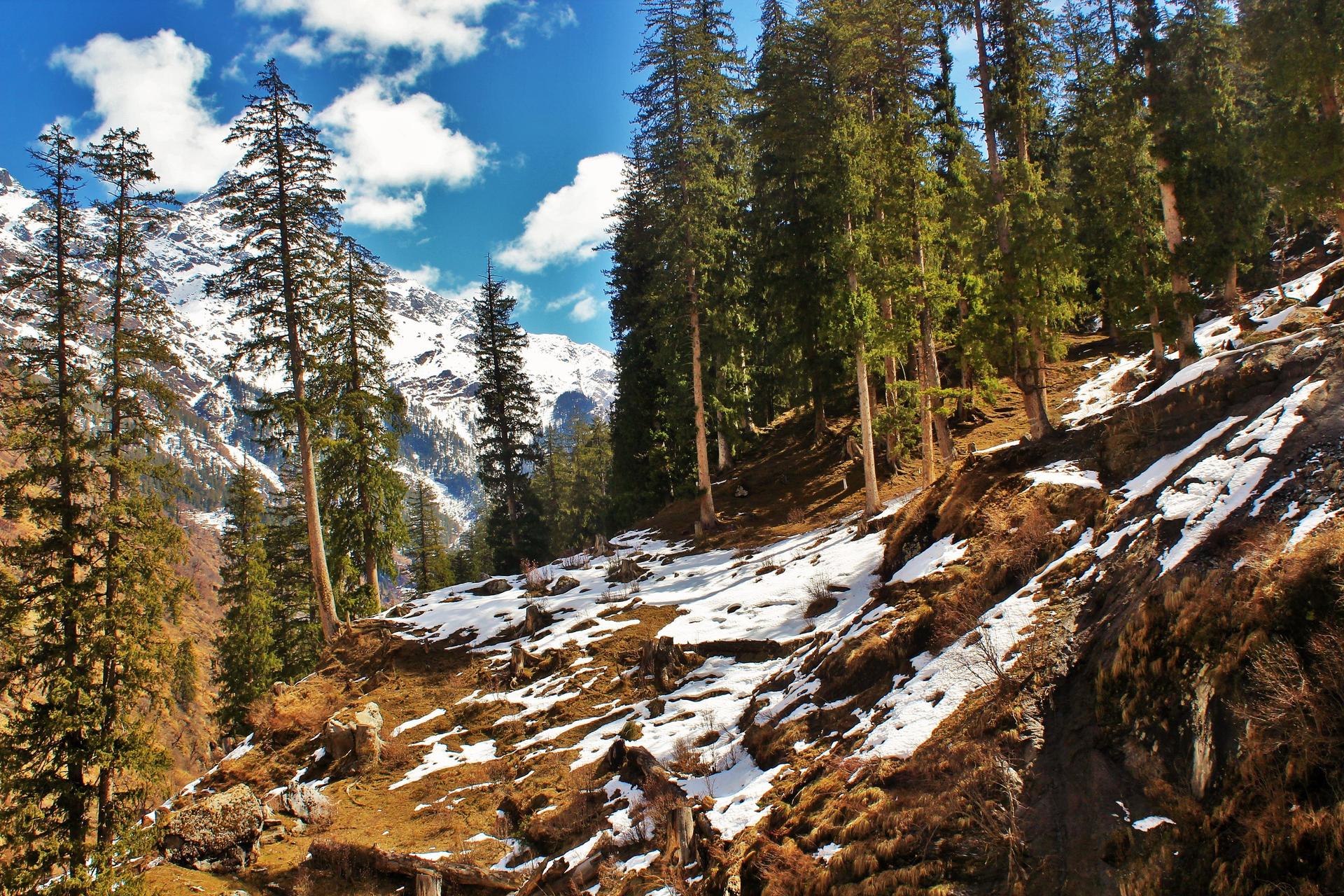 Parvati Valley: The Land of Immortals