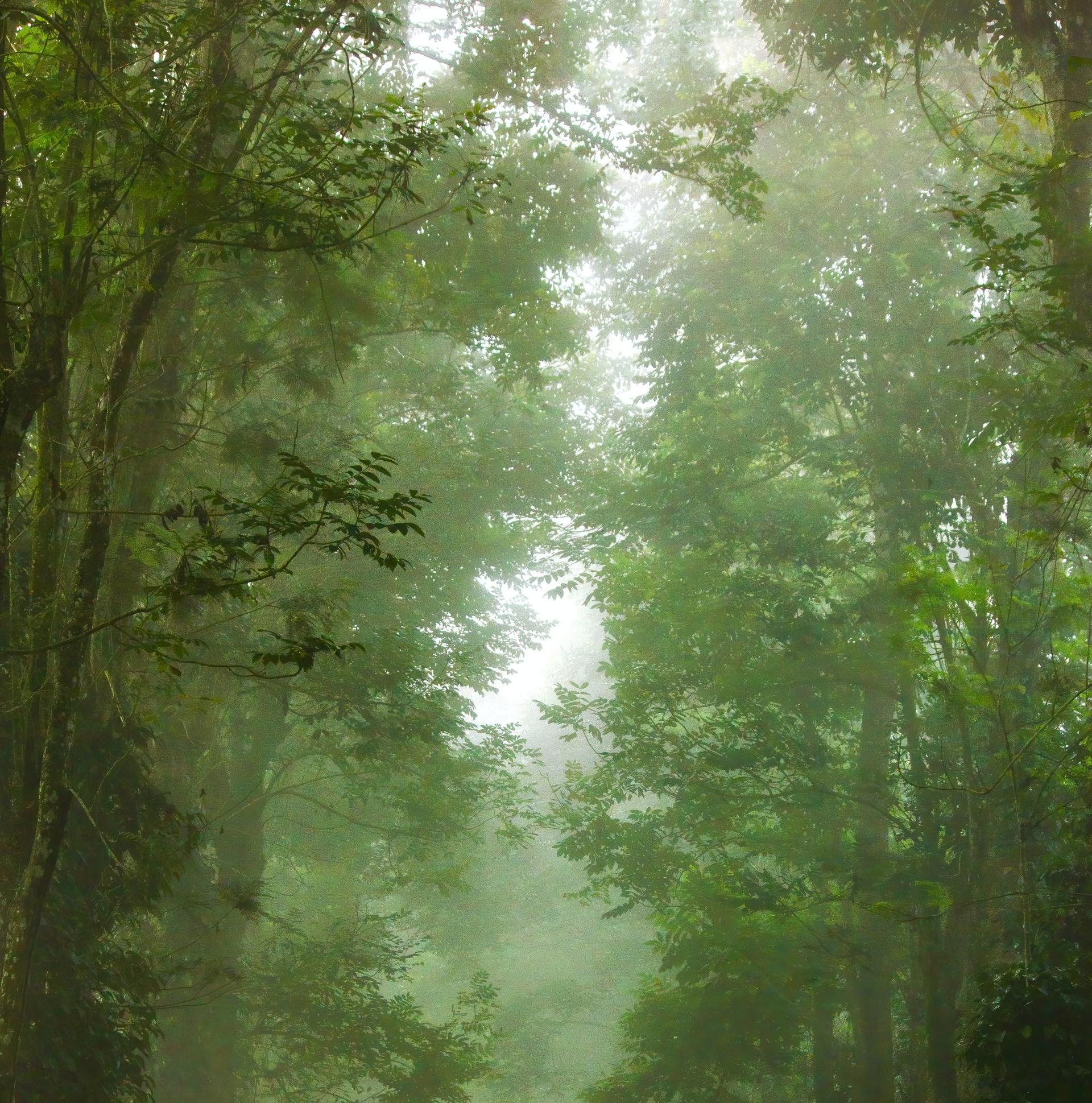 The Feminine Urge To Travel To Coorg